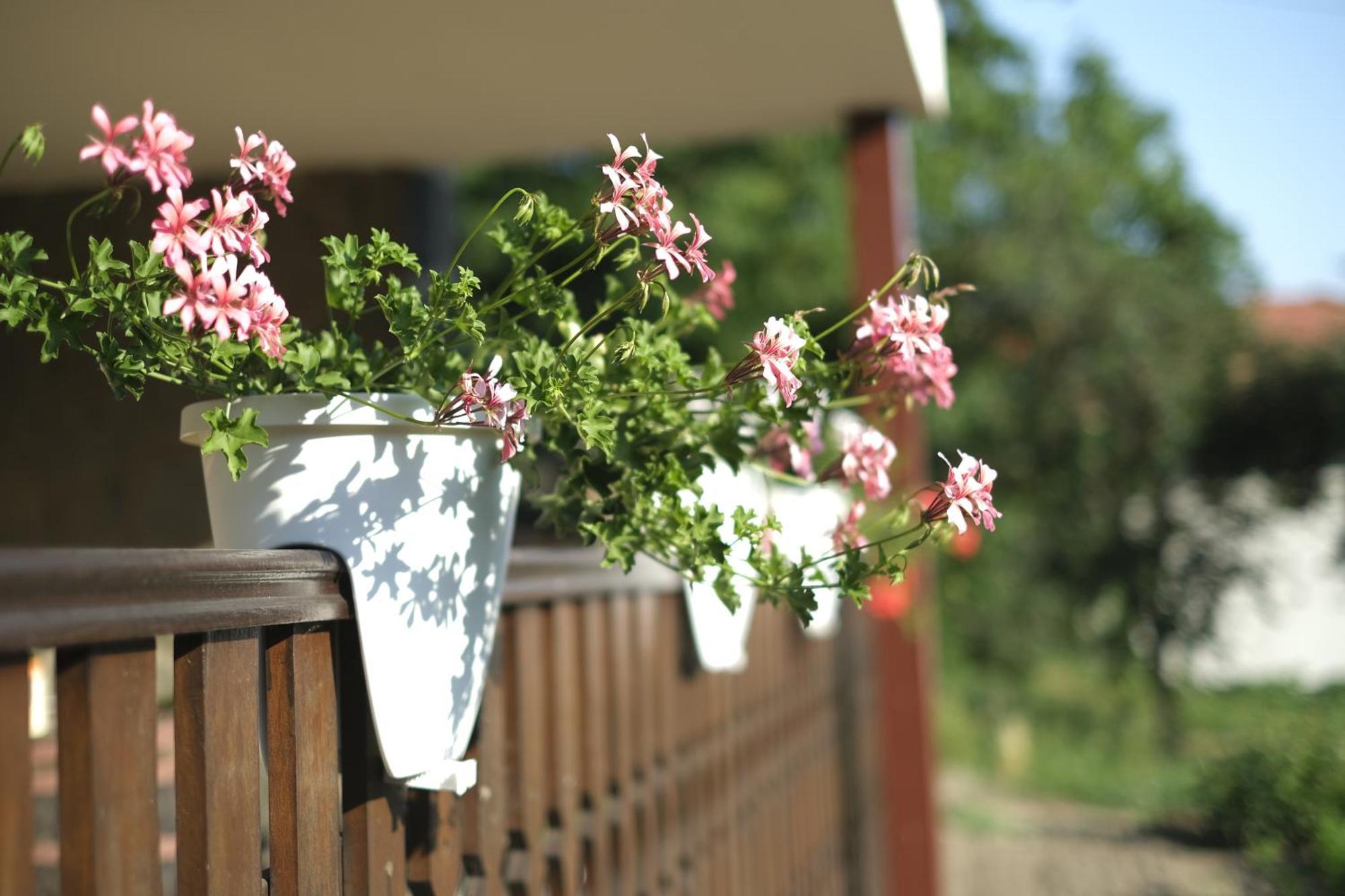 Panorama Apartmanhaz Sárvár Exterior foto