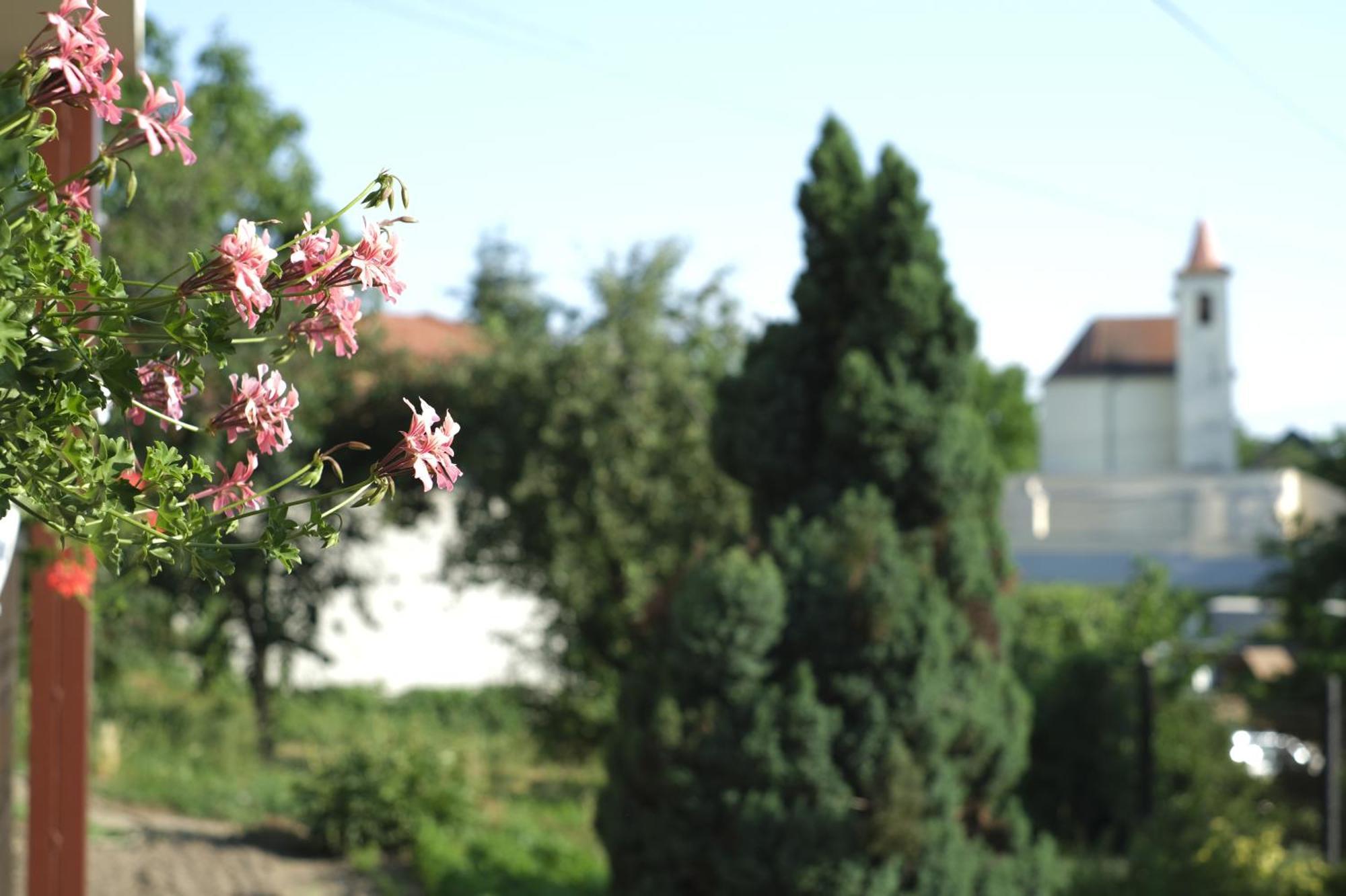 Panorama Apartmanhaz Sárvár Exterior foto