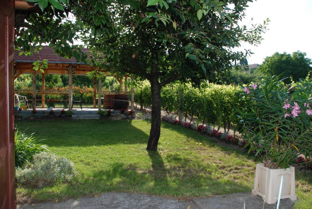 Panorama Apartmanhaz Sárvár Exterior foto